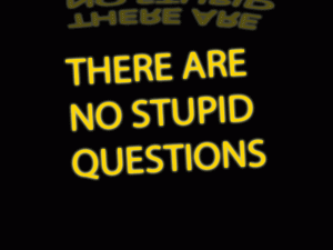 THERE ARE NO STUPID QUESTIONS